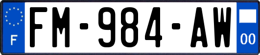 FM-984-AW