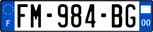 FM-984-BG