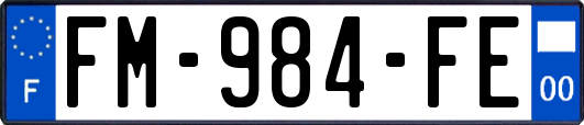 FM-984-FE