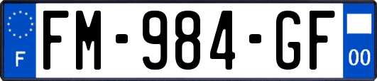 FM-984-GF