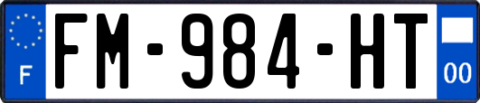 FM-984-HT