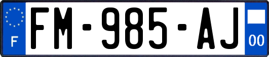 FM-985-AJ