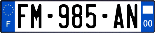 FM-985-AN