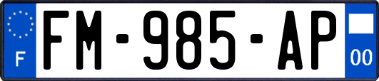 FM-985-AP