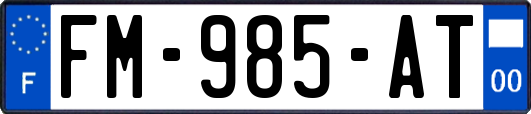 FM-985-AT