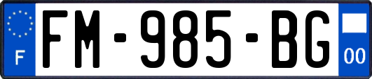 FM-985-BG