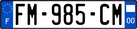 FM-985-CM