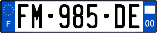 FM-985-DE