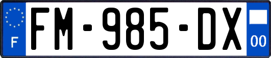 FM-985-DX