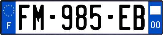 FM-985-EB