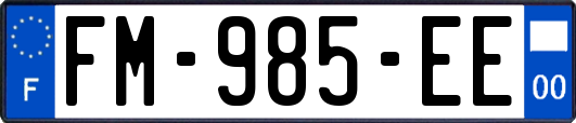 FM-985-EE