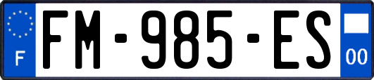 FM-985-ES