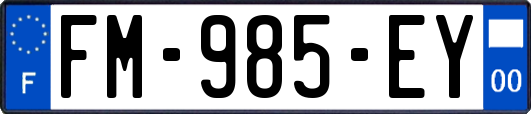 FM-985-EY