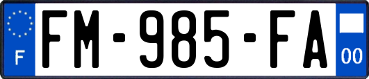 FM-985-FA