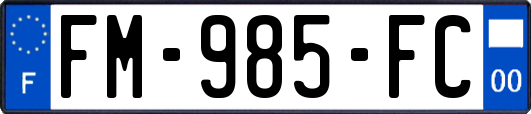 FM-985-FC