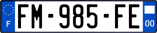 FM-985-FE