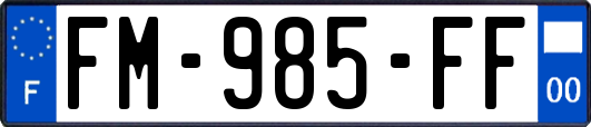 FM-985-FF