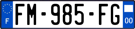FM-985-FG