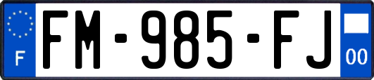FM-985-FJ