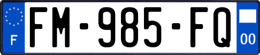 FM-985-FQ