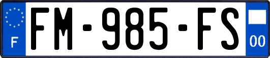 FM-985-FS