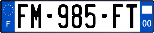 FM-985-FT