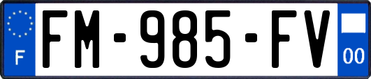 FM-985-FV