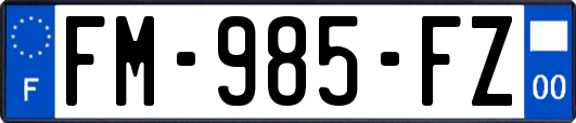 FM-985-FZ