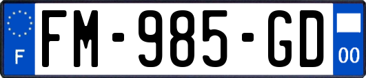 FM-985-GD