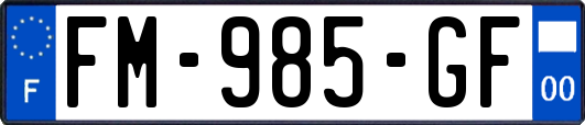 FM-985-GF