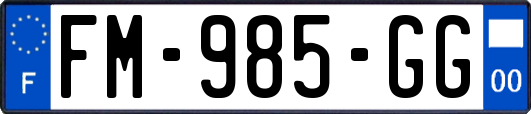 FM-985-GG