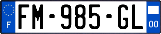 FM-985-GL