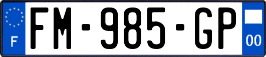 FM-985-GP