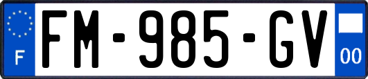 FM-985-GV