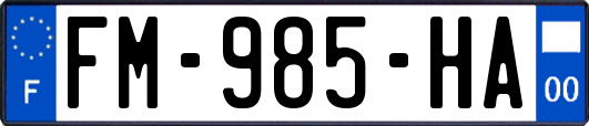 FM-985-HA