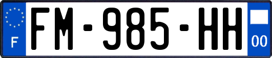 FM-985-HH