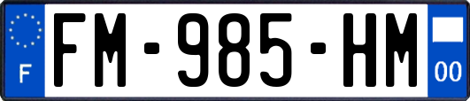 FM-985-HM