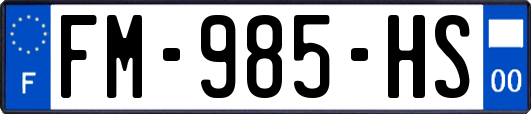 FM-985-HS