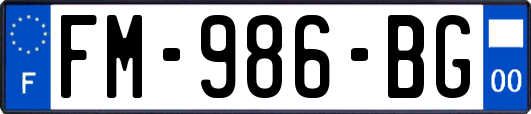 FM-986-BG