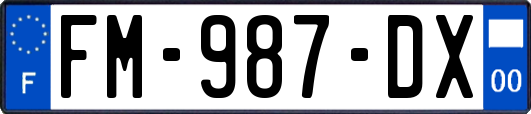 FM-987-DX