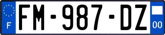 FM-987-DZ