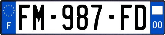FM-987-FD