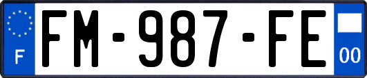FM-987-FE