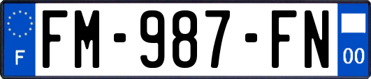 FM-987-FN