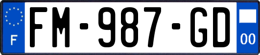 FM-987-GD