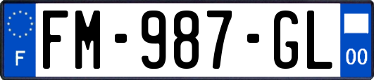 FM-987-GL