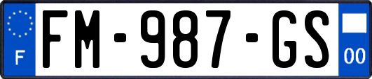 FM-987-GS