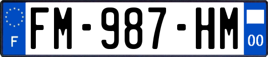 FM-987-HM