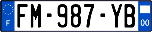 FM-987-YB