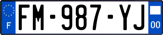 FM-987-YJ